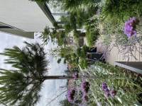 Nicola ALEXANDRE - ADN AGENCEUR DECORATEUR NICOLA