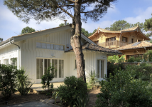 Fabrice PITARD - FABRICE PITARD